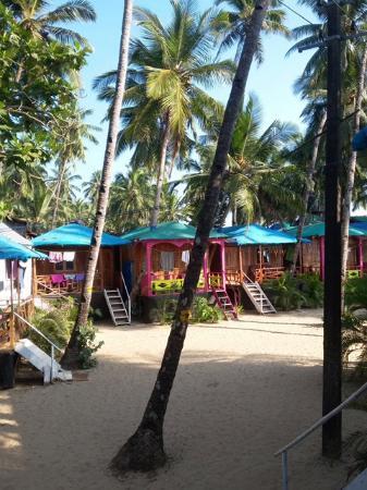 D'Costa Cottages Palolem Esterno foto